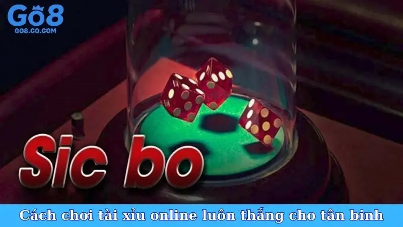 Cách chơi tài xỉu online luôn thắng cho tân binh