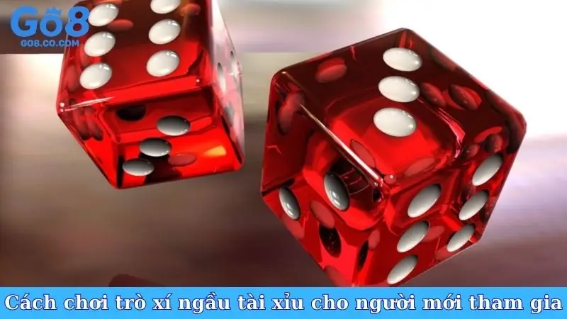 Cách chơi trò xí ngầu tài xỉu cho người mới tham gia