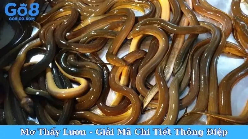Mơ Thấy Lươn - Giải Mã Chi Tiết Thông Điệp