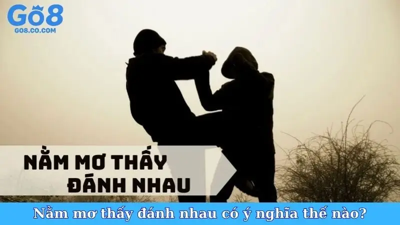 Nằm mơ thấy đánh nhau có ý nghĩa thế nào?
