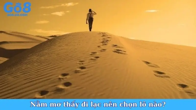 Nằm mơ thấy đi lạc nên chọn lô nào?